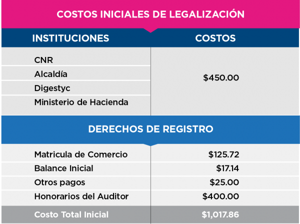 La tabla proporciona un desglose de los Costos Iniciales de Legalización para formalizar una empresa, dividido en dos secciones:
Instituciones
- CNR, Alcaldía, Digestyc, Ministerio de Hacienda: $450.00
Derechos de Registro
- Matrícula de Comercio: $125.72
- Balance Inicial: $17.14
- Otros pagos: $25.00
- Honorarios del Auditor: $400.00
Costo Total Inicial: $1,017.86
