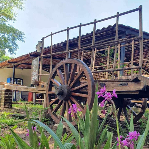 Rusticanto